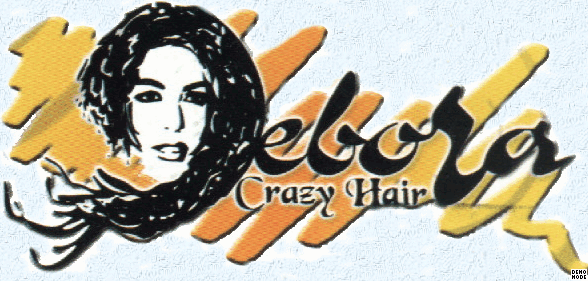logo crazi hair di debora cirica